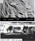 SEM image of GaN NWs on a PGaN substrate...